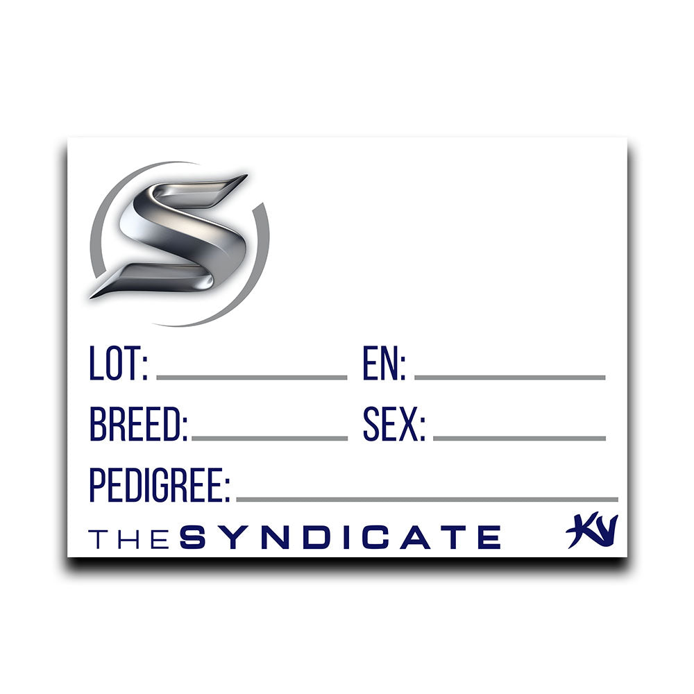 Throwaway Pen Cards
